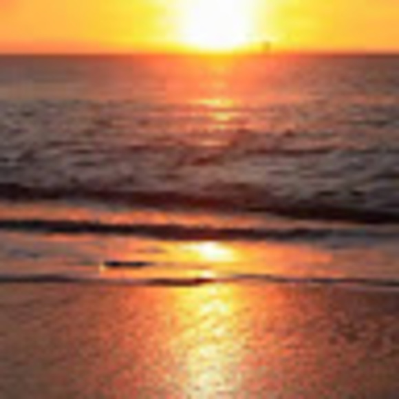 Meet your Posher, Tassy - Picture 1 of 1